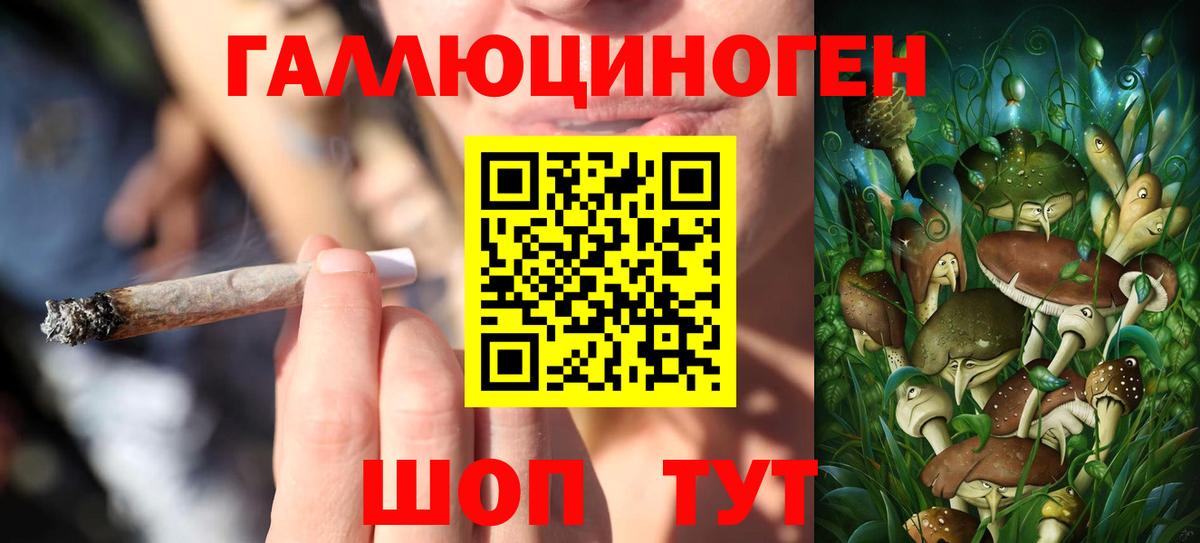 Галлюциногенные грибы Cubensis  Галлюциногенные грибы мицелий  Урай  Вход с VPN 